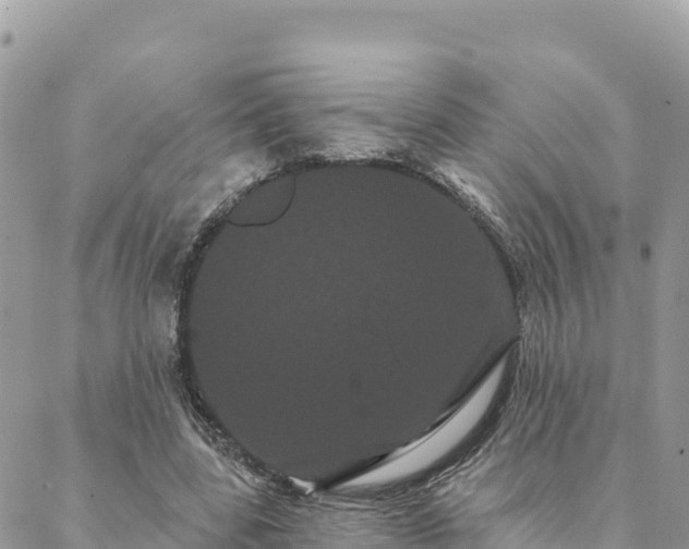 X0000088590539200706011140