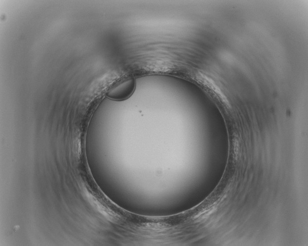 X0000088590541200706011140