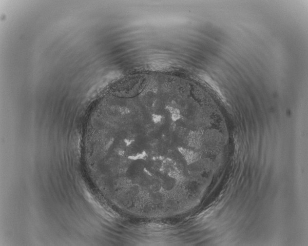 X0000088590542200706011140