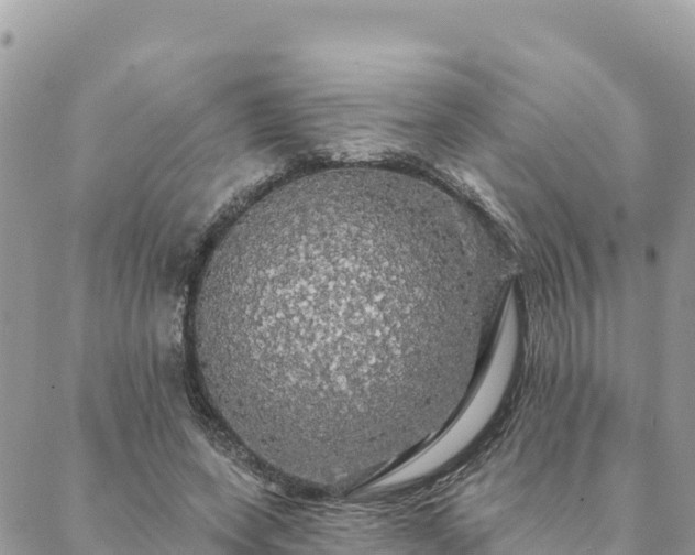 X0000088590543200706011140