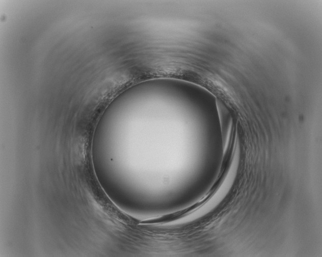 X0000088590546200706011140