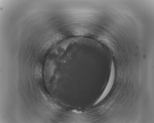 X0000088590547200706011140