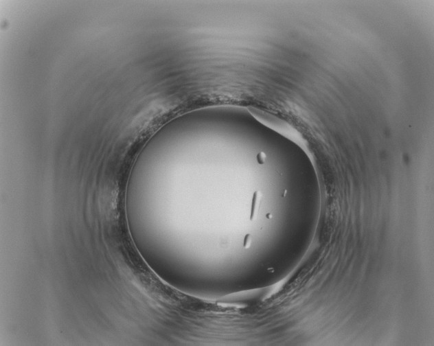 X0000088590548200706011140