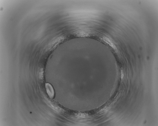 X0000088590549200706011140