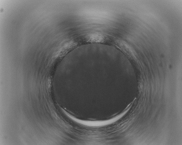 X0000088590551200706011140