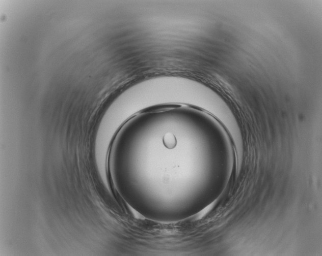 X0000088590552200706011140