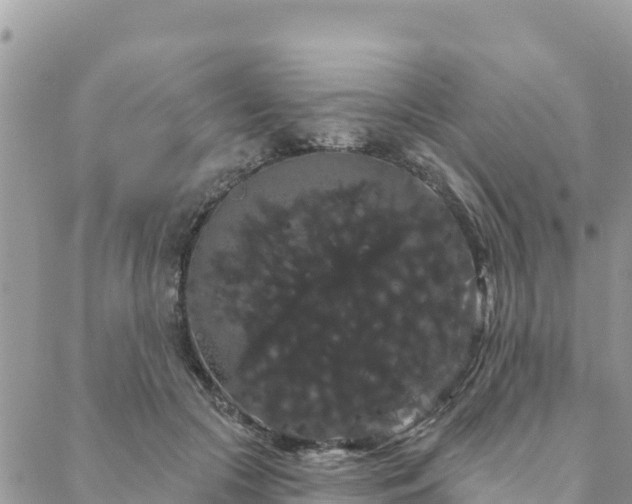 X0000088590553200706011140