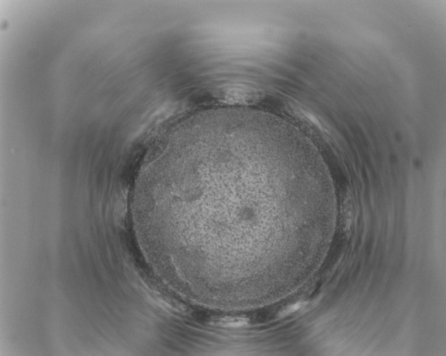 X0000088590554200706011140