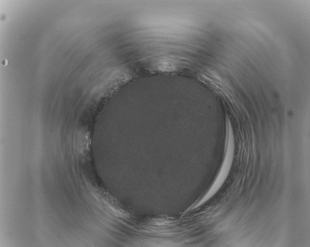 X0000088590555200706011140