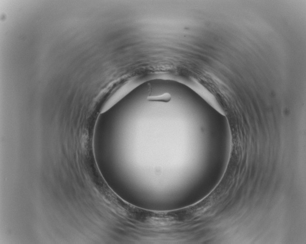 X0000088590556200706011140