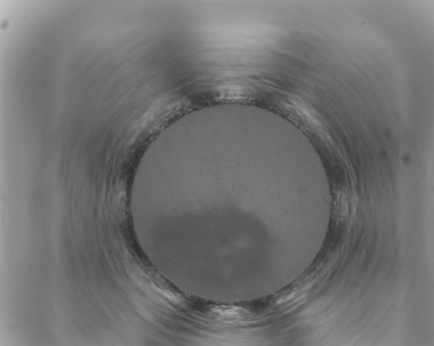 X0000088590557200706011140