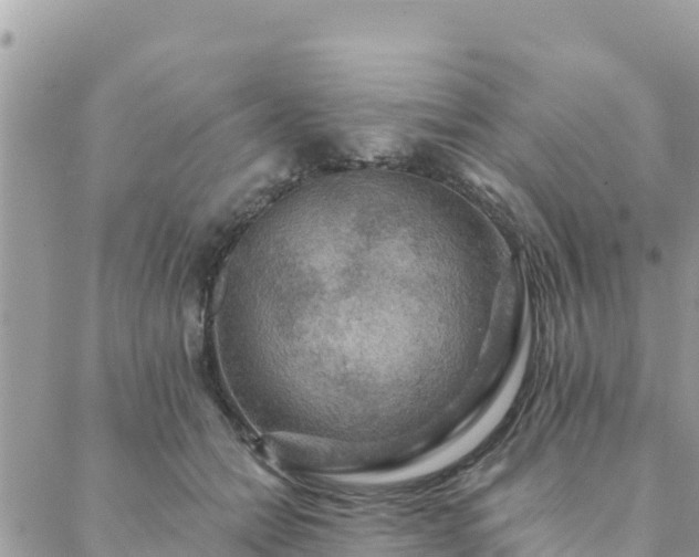 X0000088590558200706011140