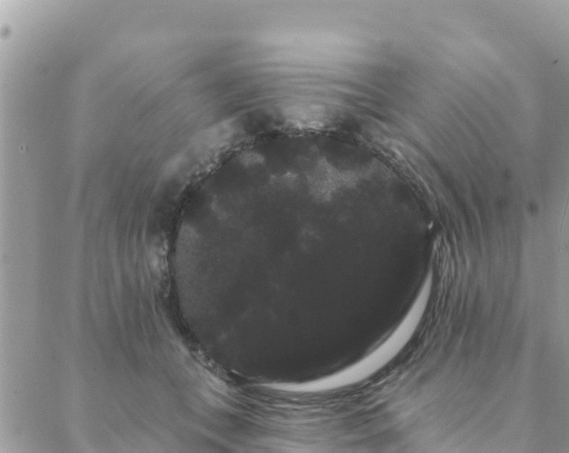 X0000088590559200706011140