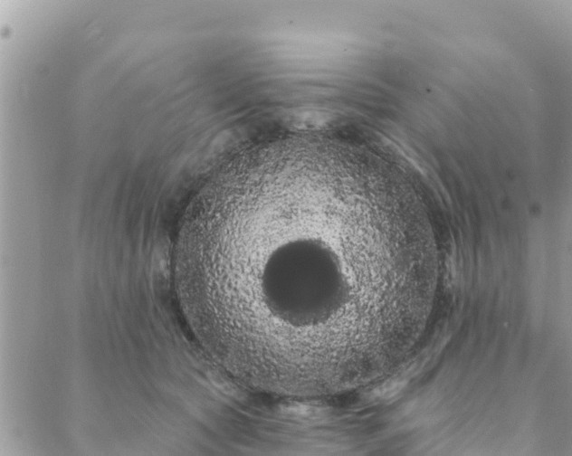 X0000088590561200706011140