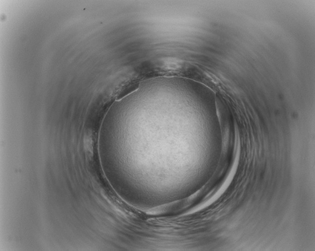 X0000088590562200706011140