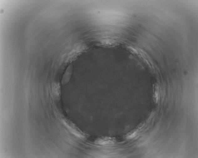 X0000088590563200706011140