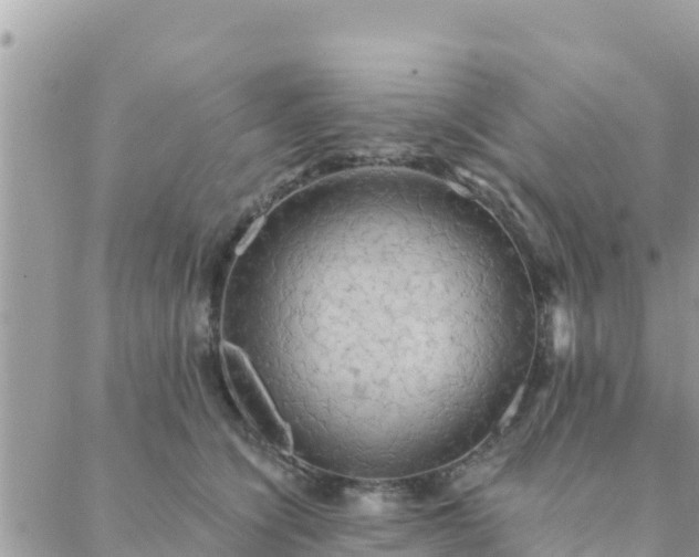 X0000088590564200706011140