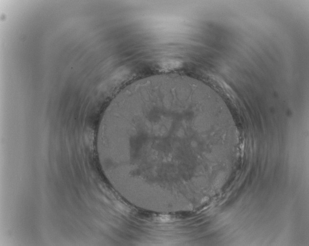 X0000088590565200706011140