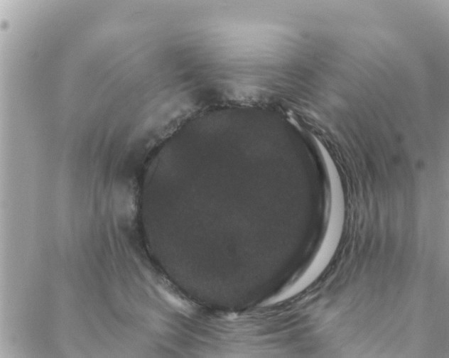 X0000088590566200706011140