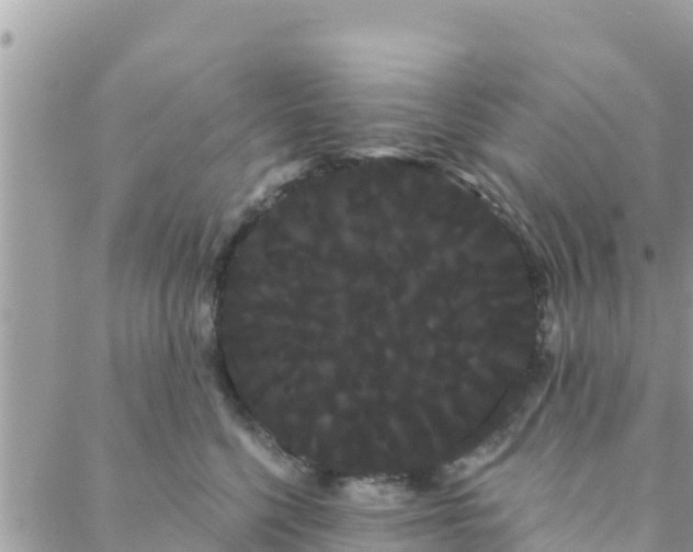 X0000088590568200706011140