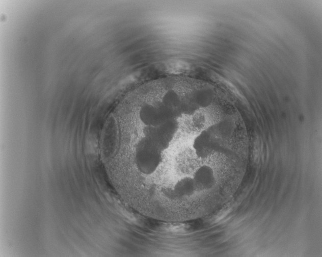 X0000088590569200706011140