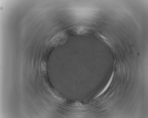 X0000088590571200706011141