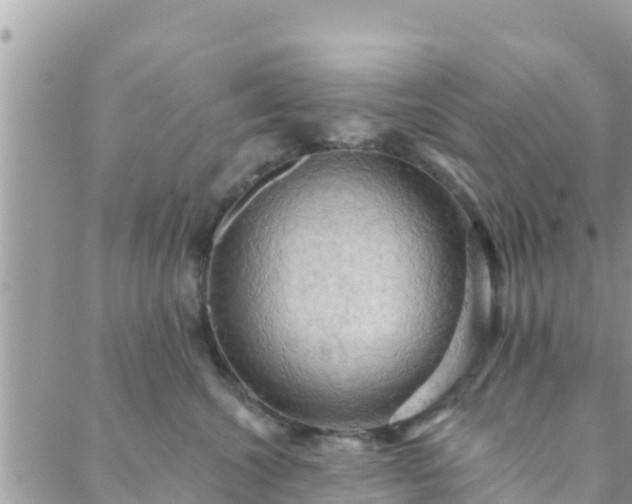 X0000088590572200706011141