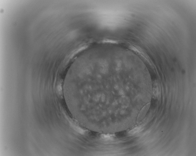 X0000088590573200706011141