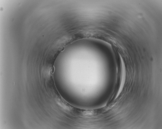 X0000088590574200706011141