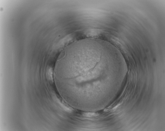 X0000088590575200706011141