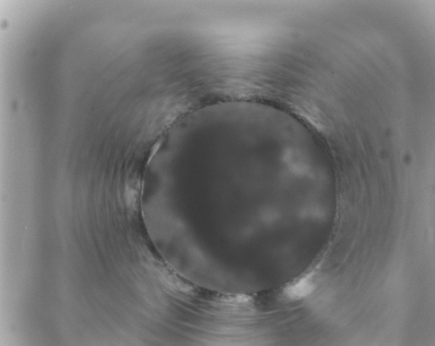 X0000088590576200706011141