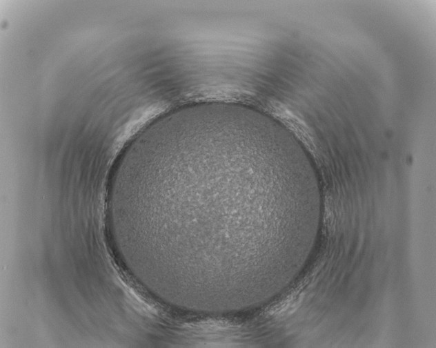 X0000088590578200706011140