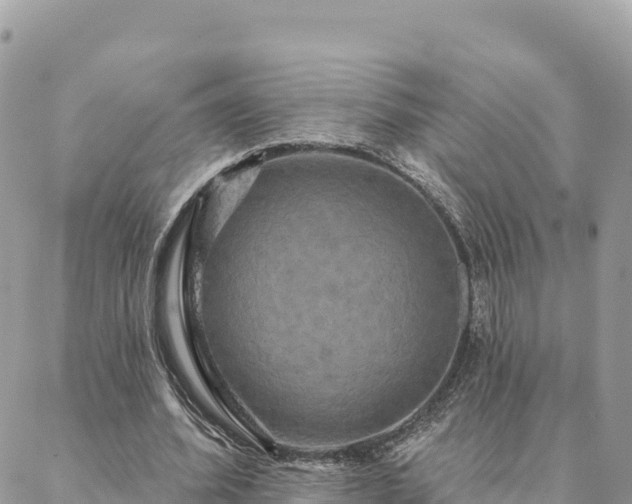 X0000088590580200706011140