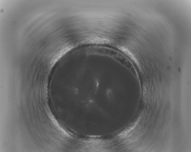 X0000088590581200706011140