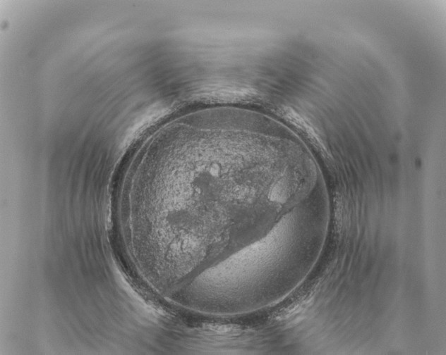 X0000088590582200706011140