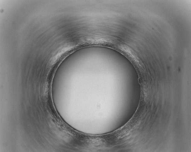 X0000088590583200706011140