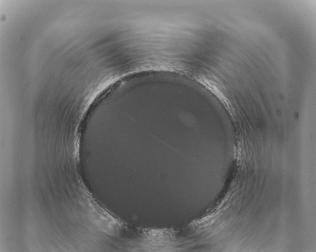 X0000088590584200706011140