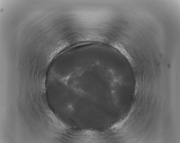 X0000088590585200706011140