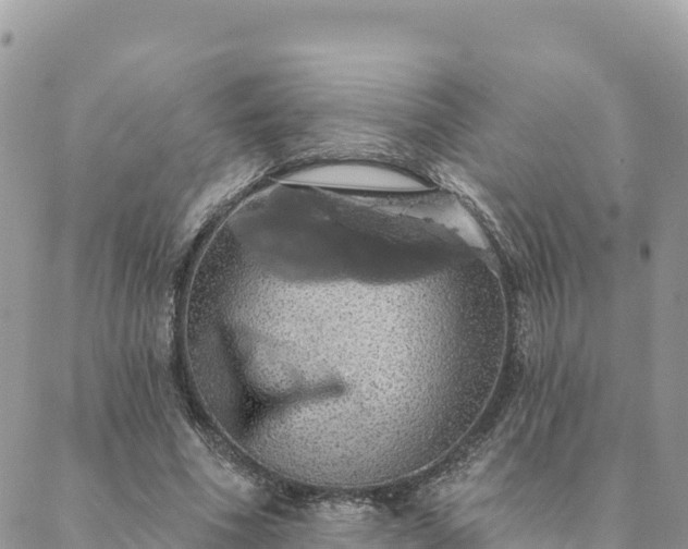 X0000088590586200706011140