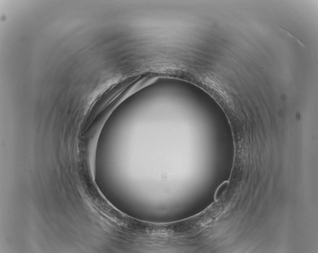 X0000088590587200706011140