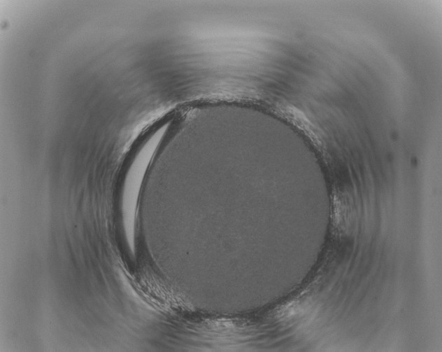 X0000088590588200706011140