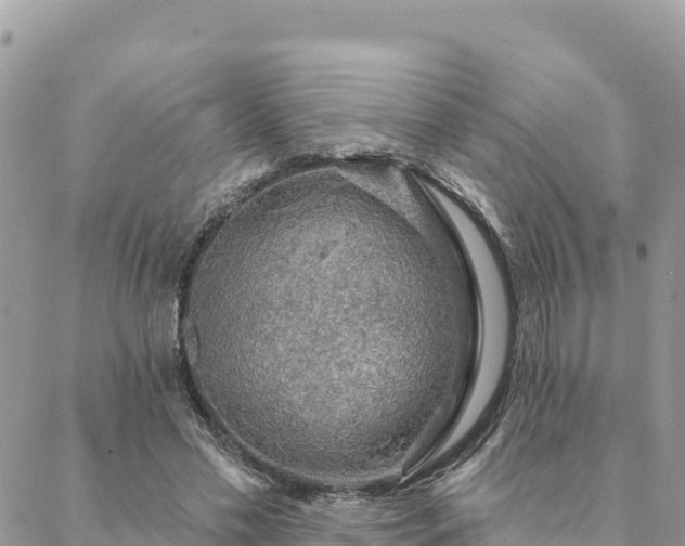 X0000088590589200706011140