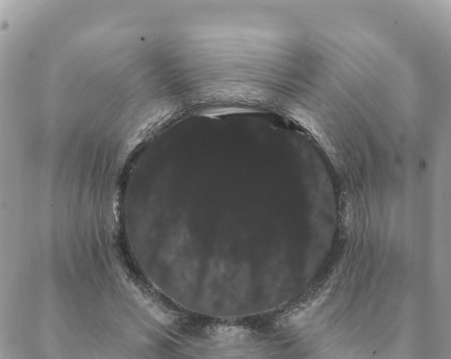 X0000088590590200706011140