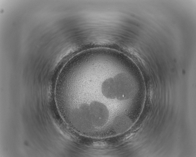 X0000088590591200706011140