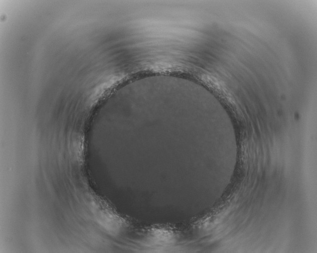 X0000088590592200706011140