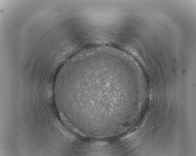 X0000088590593200706011140