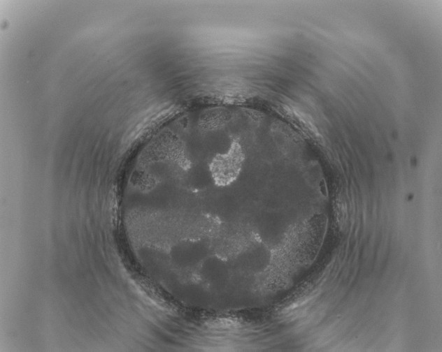 X0000088590594200706011140