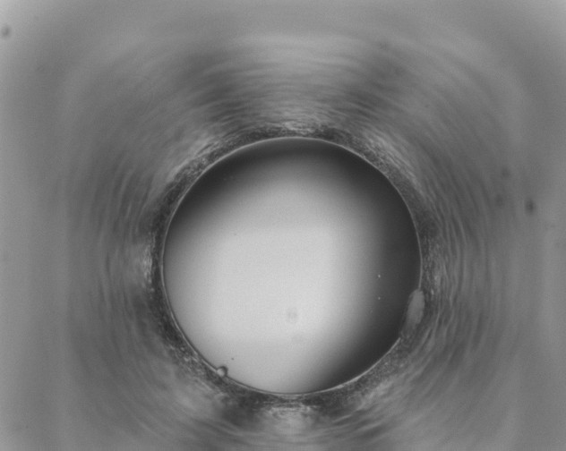 X0000088590595200706011140