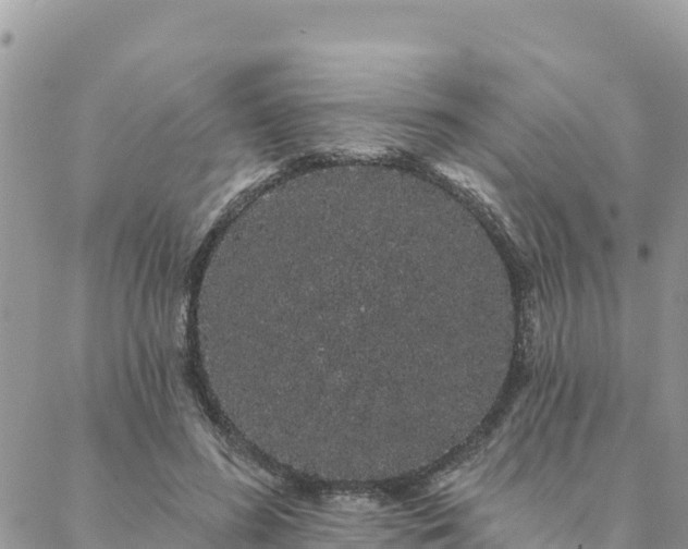 X0000088590596200706011139