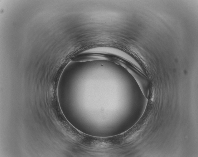 X0000088590597200706011139